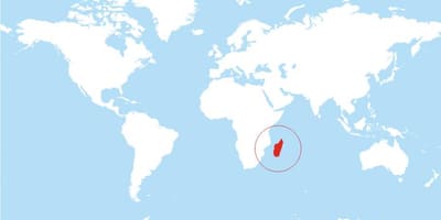 Kaart Madagaskar asukoha kohta maailmas